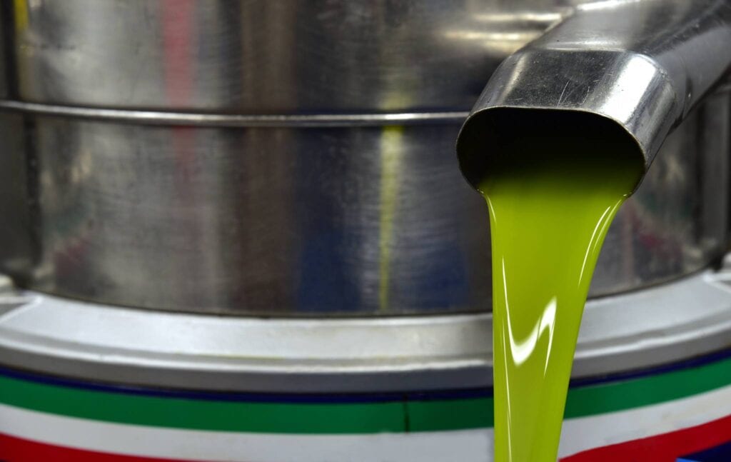 rivendita olio di oliva per ristoratori olio di oliva biologico dop umbria estrazione a freddo